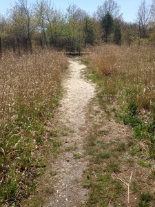 Trail at Twin Lakes