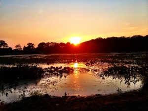 Mill Pond at sunset