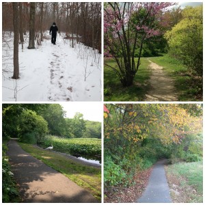 Mill Pond through the 4 seasons. 